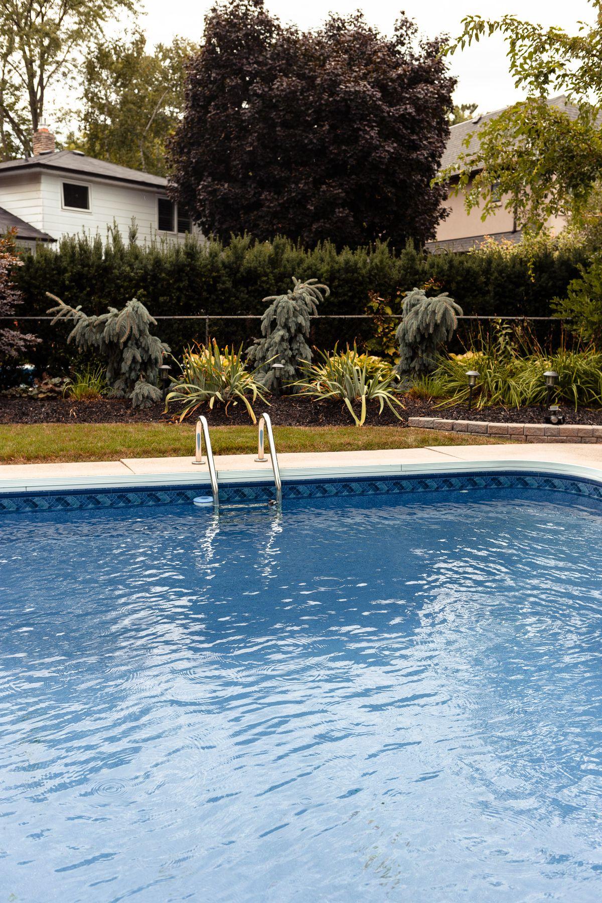 Residential backyard pool with ladder and landscaping